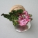 ar_i-never-promised-you-a-rose-garden